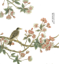 免抠 (211)