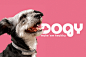 brand brand identity branding  Cat dog dogy Food  Pet petfood pets
