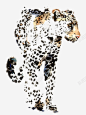 老虎高清素材 凶猛 动物 野兽 元素 免抠png 设计图片 免费下载 页面网页 平面电商 创意素材