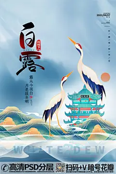 【20230902期】中国风仙鹤白露白鹭降温24节气海报 (15)
