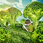 Angela Waye在 500px 上的照片Healthy Child Reading Book in Green Broccoli Landscape