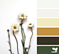 { summer tones } image via: @rachelprestwichphoto