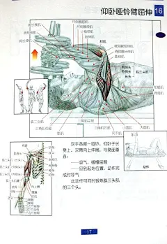 人人网 - 浏览相册 - 【男士必须收藏】健身方法 女的也可以推荐给男友哦（也有女士的