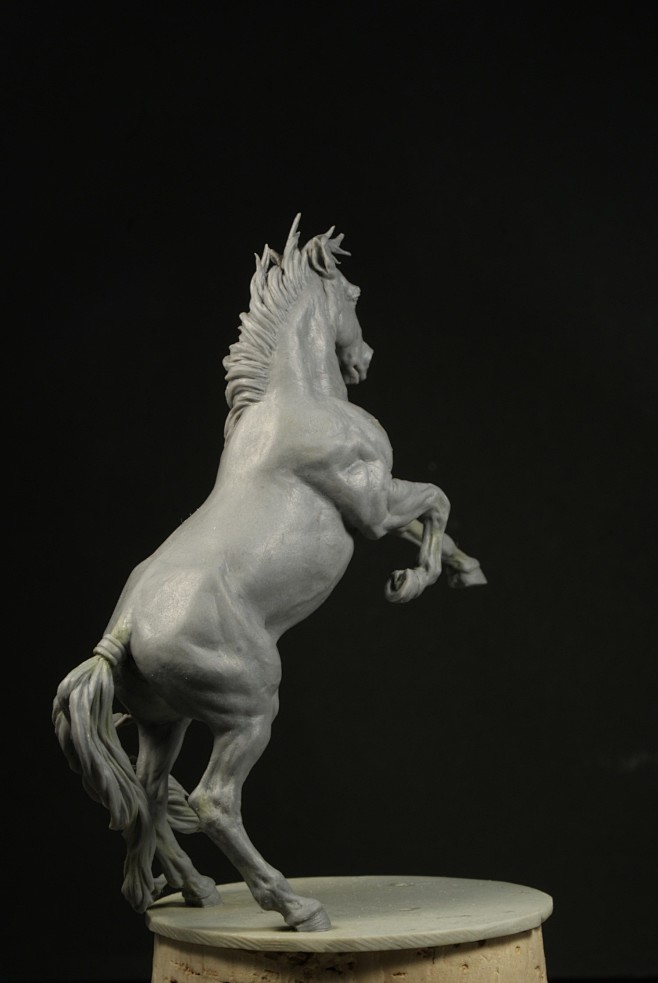 Horse, Patrick MASSO...