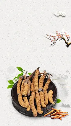 营养补品冬虫夏草H5海报背景psd下载 营养补品 虫草 虫草文化 背景 设计图片 免费下载 页面网页 平面电商 创意素材