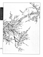 [转载]工笔画线描花卉图谱-梅花_吉利_新浪博客