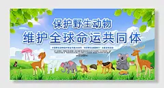 保护野生动物展板