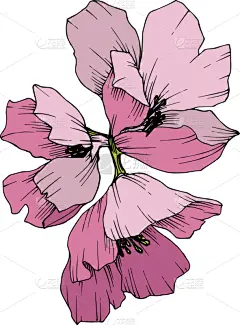 粉色,花朵,绿色,壁纸,植物群,春天,乡村风格,花,剪影