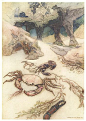 Warwick Goble版《水孩子》插画 : 《水孩子》为英国十九世纪作家查尔斯·金斯利的童话，是儿童文学的经典名作，于是出版过无数版本，很多著名的插画家都为它配过插画。Warwick Goble的插画柔情似水，仙气氤氲，最合适画《水孩子》了。 英文版《水...