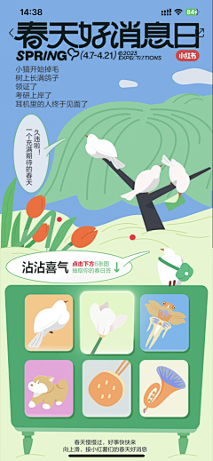 L╭(✿3╰)╯采集到观鸟