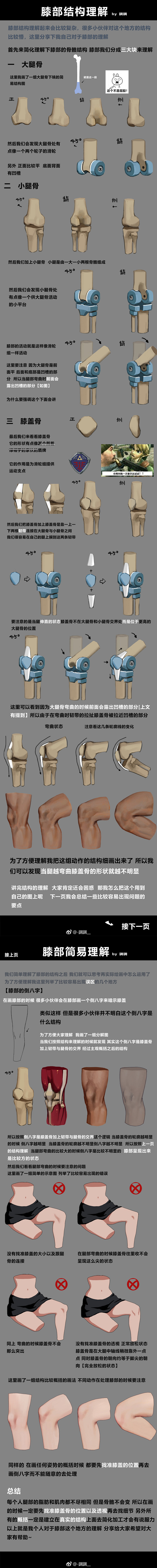 膝盖结构理解的教程   --調調__