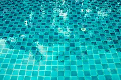 树影映在游泳池里。