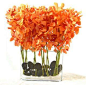 Orange Flower Arrangement  Mokari Orchids - #orange   #floral arrangement: 