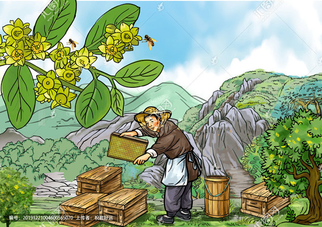 开心guo从神oo僧转采于2020-02-19 22:58:28枣花蜂蜜生活插画开心guo