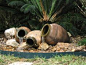 diy water features | pot fountain - group picture, image by tag - keywordpictures.com