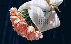 2010年10月花卉宽月历壁纸桌面壁纸2