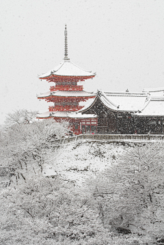 M大宝采集到日式风景