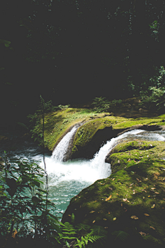 君小福采集到风景