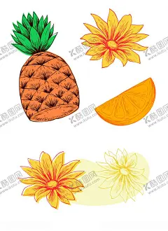 菠萝太阳花 【酷图网】菠萝,太阳花,橙子,手绘,矢量