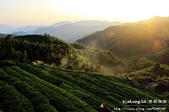 【福建·安溪】走进铁观音茶乡，感受茶园的逸静安详, 潘昶永旅游攻略
