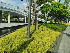 yunaaaa采集到公园植物景观