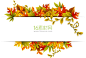 精美秋季树叶花边矢量素材 - 素材中国16素材网