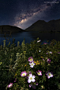 Milky Way, New Zealand#自然##美景##摄影师##壁