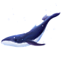 卡通漂浮鲸鱼png元素素材
