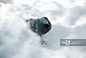 Pigeon in winter