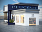 PEUGEOT Maintenance Unit at North Coast / Egypt : Design for Peugeot maintenance unit at North Coast / Egypt 