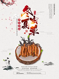 冬虫夏草宣传海报素材