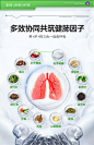 美国原装复合槲皮素肺部保健品养肺官方正品高含量护肺【买3送1】-淘宝网
