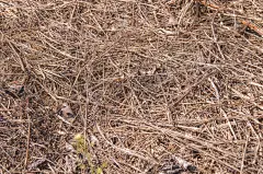 背景,纹理,稻草,干的,田地,巨大的,草垛,干草卷,干草,农业