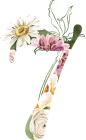 水彩清新花卉植物LOGO图标婚礼海报装饰透明免抠PNG图案装饰素材 (30)