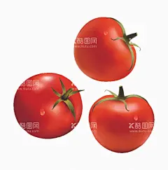 矢量手绘西红柿  - 源文件下载【酷图网】矢量西红柿,手绘西红柿,西红柿,柿子,洋柿子,番茄,青菜,蔬菜插画,蔬菜,矢量蔬菜,绿色果蔬,新鲜蔬菜,手绘番茄,