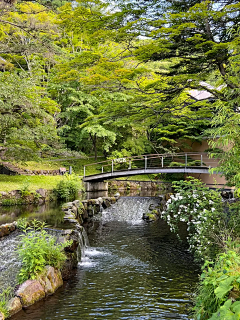 双份长颈鹿采集到滨水-栈道-湿地