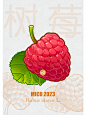树莓-小米可加_Mico
