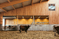 Cow Shed in Saint-Jean-sur-Richelieu - La Shed Architecture  | Arquitectura Viva