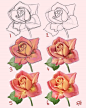 #绘画教程# 花朵教程-玫瑰的画法 ​​​​