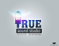 true_sound_logo_3