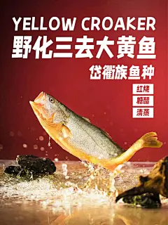 大黄鱼海报