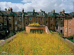 国家地理杂志壁纸优秀作品欣赏 _牛图库niutuku.com