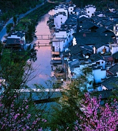 秋雨落桐采集到国画