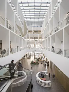 宁波图书馆新馆,© Adam Mørk