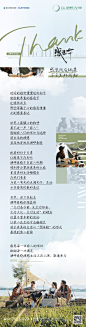 感恩长图