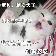 表情包撩对象超心动的甜甜小猫_07