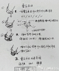 速写人物笔记学习啦！