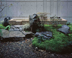 熊喵333采集到橱窗植物布景