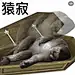 采集图片