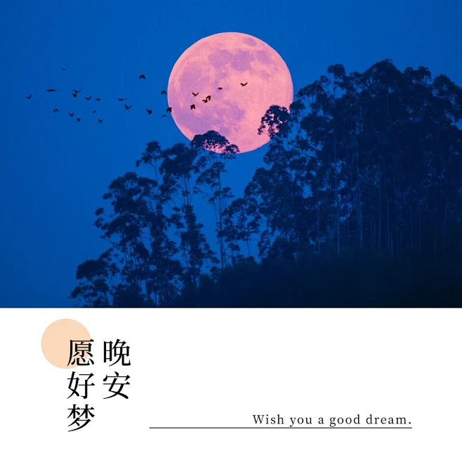 晚安愿好梦方形海报素材-花瓣网